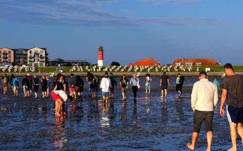 Das G.E.O.S.-Team Netzausbau traf sich in Meldorf, besuchte BorWin6-Baustellen und wanderte durchs Wattenmeer bei Büsum.