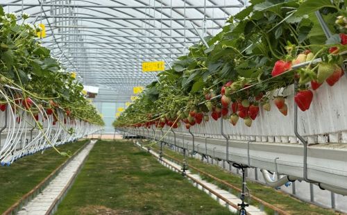 G.E.O.S. Halle bewertet die Nachhaltigkeit einer Grundwasserentnahme in Wittenberg mittels Isotopenanalyse und 72-stündigem Pumpversuch