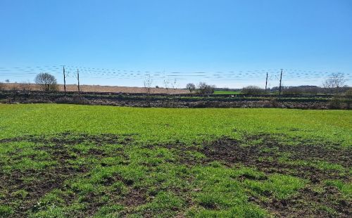 Trassenbefahrung TraveBilleLink: ARGE Trassierung § 21 TBL prüft Leitungsverlauf zwischen Neverstaven und Sahms