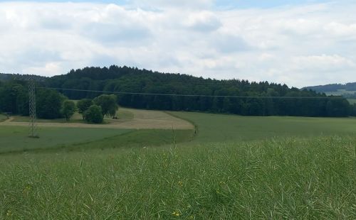 G.E.O.S. übernimmt Baugrunduntersuchung, naturschutzfachliche Stellungnahme und Umweltbaubegleitung für GeoMetEr bei Langenweißbach.