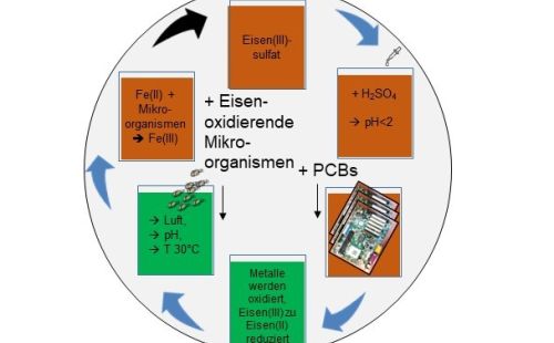Biolaugung zur Gewinnung von Wertmetallen aus Erzen, Tailings und Schlacken. Entwicklung und Pilotierung durch G.E.O.S.