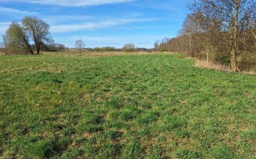 Trassenbefahrung TraveBilleLink: ARGE Trassierung § 21 TBL prüft Leitungsverlauf zwischen Neverstaven und Sahms