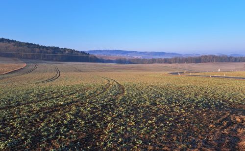 G.E.O.S. übernimmt Baugrunduntersuchung, naturschutzfachliche Stellungnahme und Umweltbaubegleitung für GeoMetEr bei Langenweißbach.