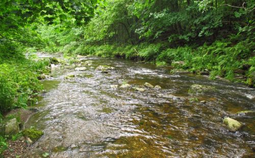 Passive Wasserbehandlung Breitenbrunn | G.E.O.S.: Demonstrationsanlage reduziert Zink im Schwarzwasser zur Umsetzung der WRRL