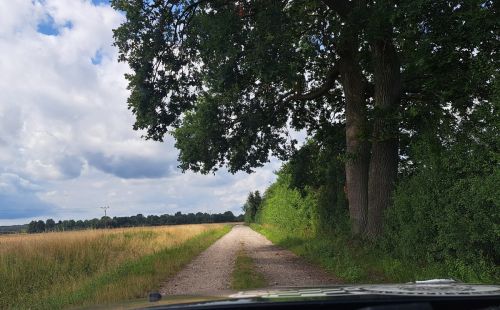 Generalsanierung Hochleistungskorridor 6100 Hamburg-Berlin: G.E.O.S. begleitet Großprojekt durch umweltfachliche Bauüberwachung