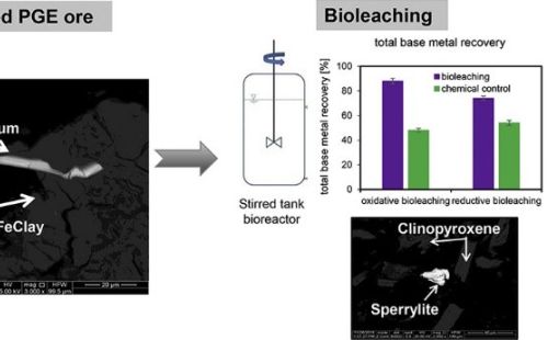 G.E.O.S. koordiniert BioPlat: Verbundvorhaben entwickelt biotechnologische Verfahren zur Gewinnung von Platin und Palladium aus PGE-Erzen.