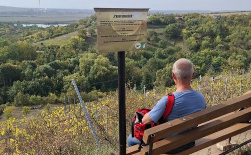 Teamtag G.E.O.S. Niederlassung Halle: Wanderung durch Weinberge bei Höhnstedt, Einblicke in Geologie der Subrosionssenke am Süßen See