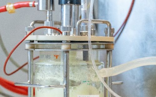 G.E.O.S. koordiniert BioPlat: Verbundvorhaben entwickelt biotechnologische Verfahren zur Gewinnung von Platin und Palladium aus PGE-Erzen.