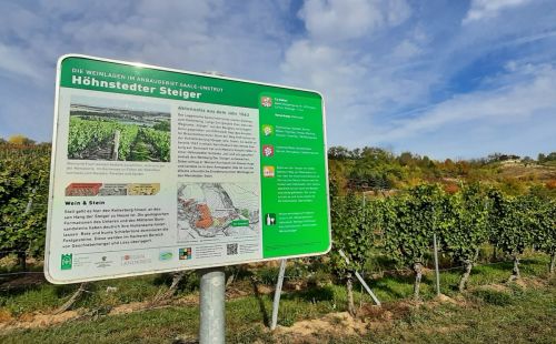 Teamtag G.E.O.S. Niederlassung Halle: Wanderung durch Weinberge bei Höhnstedt, Einblicke in Geologie der Subrosionssenke am Süßen See