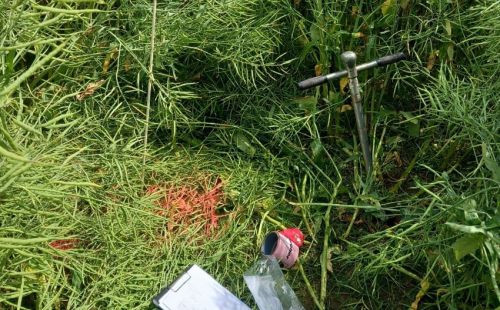 G.E.O.S. übernimmt Baugrunduntersuchung, naturschutzfachliche Stellungnahme und Umweltbaubegleitung für GeoMetEr bei Langenweißbach.