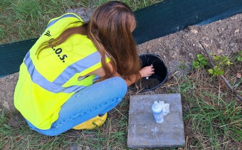 Neues Hochwasserrückhaltebecken an der Bobritzsch: G.E.O.S übernimmt ökologische Baubegleitung